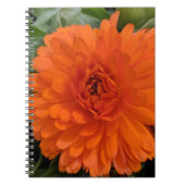 Carnet Fleur orange (Devant)
