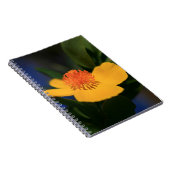 Carnet Fleur orange (Côté Droit)