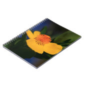 Carnet Fleur orange (Côté gauche)