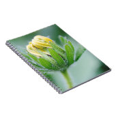 Carnet Fleur ouverte de la fleur de cone (Côté Droit)