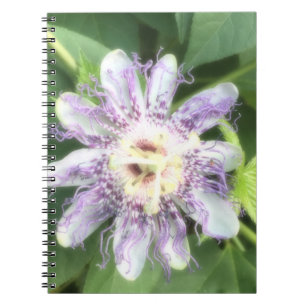 Carnet Fleur Passion