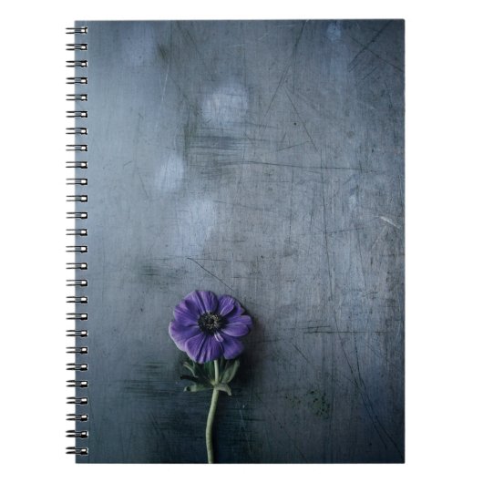 Carnet Fleur pétée violette sur la surface grise (Devant)