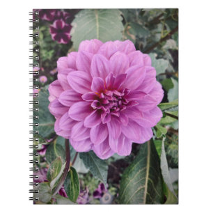 Carnet Fleur pourpre