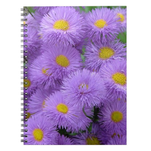 Carnet Fleur pourpre (Devant)