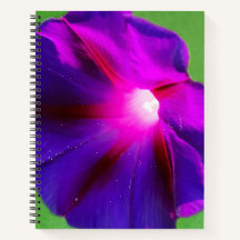 Fleur pourpre