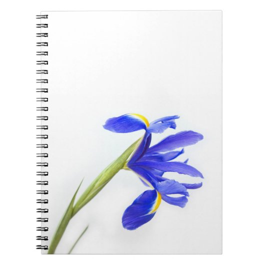 Carnet Fleur pourpre d'iris (Devant)