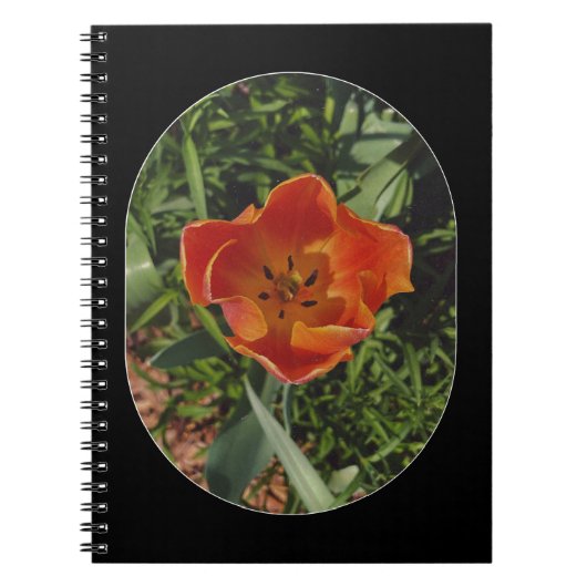 Carnet fleur printanière rouge (Devant)