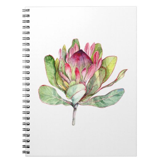 Carnet Fleur Protea (Devant)