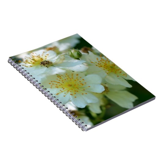 Carnet Fleur Rose à ramer (Côté Droit)