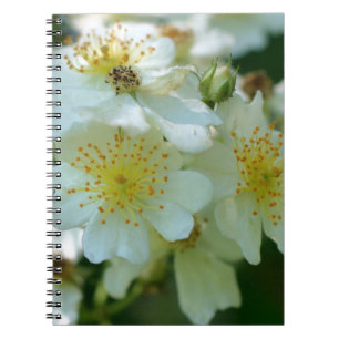 Carnet Fleur Rose à ramer
