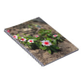 Carnet fleur rose blanche (Côté Droit)