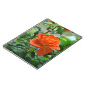 Carnet Fleur rose de la nature (Côté gauche)