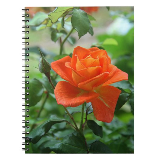 Carnet Fleur rose de la nature (Devant)
