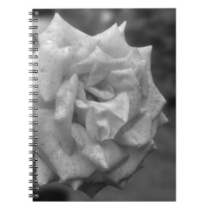Carnet Fleur Rose en chaume en BW