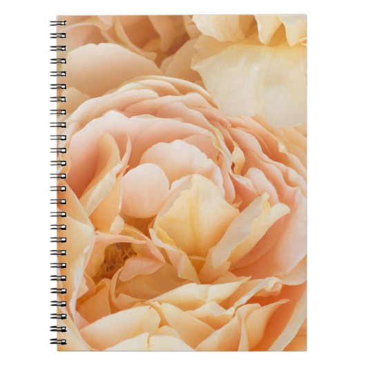 Carnet Fleur rose jaune (Devant)