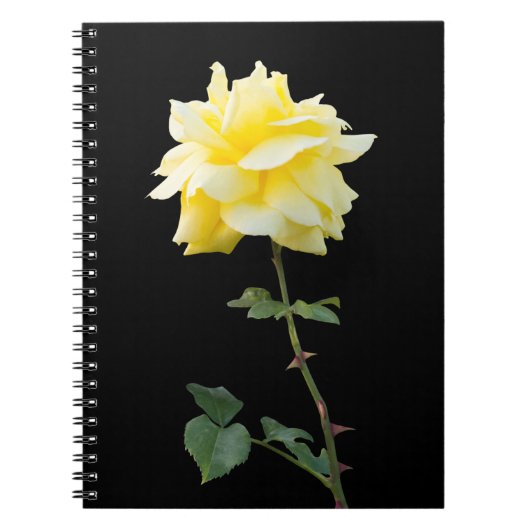 Carnet Fleur rose jaune (Devant)