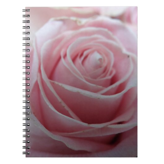 Carnet Fleur Rose mignonne (Devant)