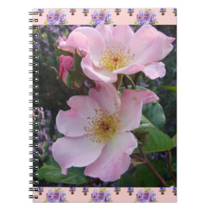 Carnet Fleur Rose rose Fleur florale Photo Maman Fête des