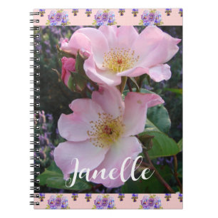 Carnet Fleur Rose rose Fleur florale Photo Maman Fête des