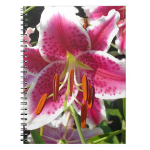 Carnet Fleur rose rose rose rose fleur rose fleur tropica