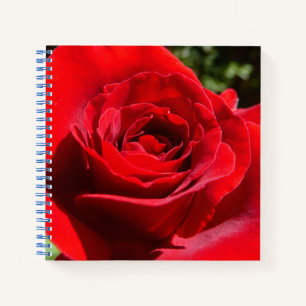 Carnet Fleur rose rouge vif Belle florale