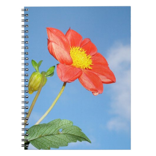 Carnet Fleur rouge de cerisier à fleurs de fraisier (Devant)