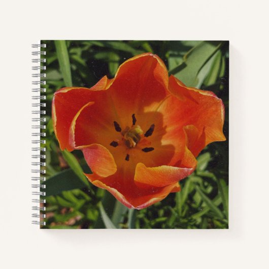 Carnet fleur rouge de printemps (Devant)