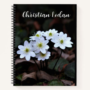 Carnet Fleur sauvage de champ aquarelle