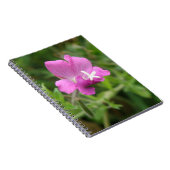 Carnet Fleur sauvage Red Campion (Côté Droit)