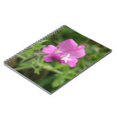 Carnet Fleur sauvage Red Campion (Côté gauche)