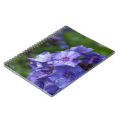 Carnet fleur violet avec la rosée du matin (Côté gauche)
