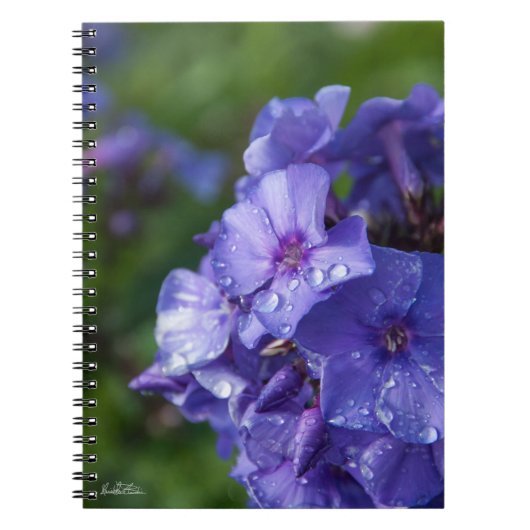 Carnet fleur violet avec la rosée du matin (Devant)