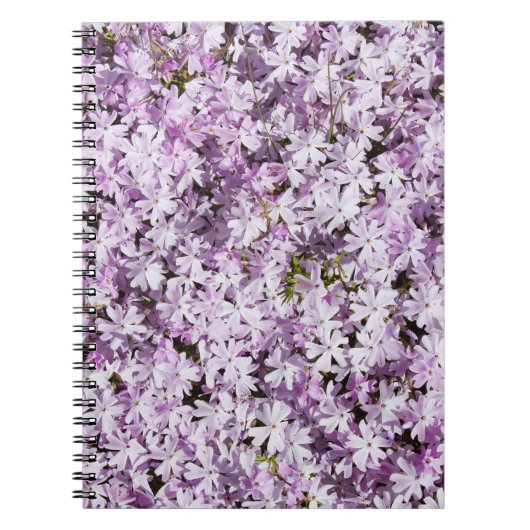 Carnet Fleur violette, cadre de fraîcheur estivale. (Devant)