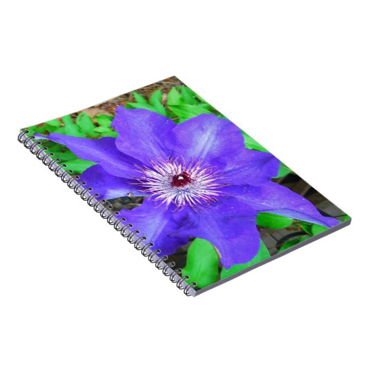 Carnet Fleur violette Clematis (Côté Droit)