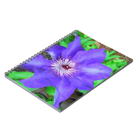Carnet Fleur violette Clematis (Côté gauche)