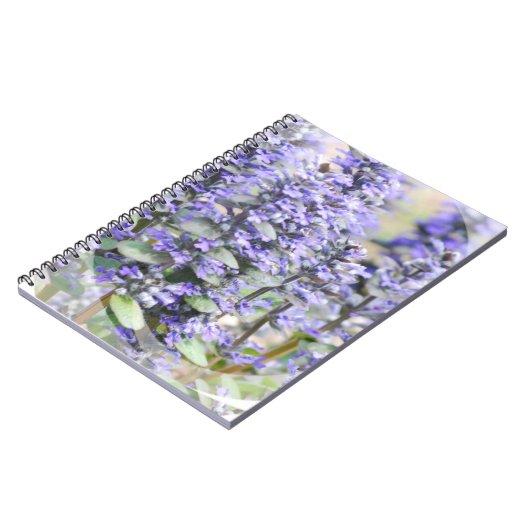 Carnet fleurissant d'Ajuga (Côté gauche)