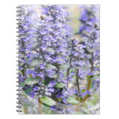 Carnet fleurissant d'Ajuga (Devant)