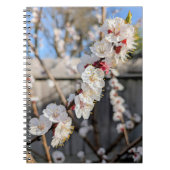 Carnet Fleurs (Devant)