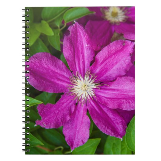 Carnet Fleurs à Robinette's Apple Haus et Gift Barn (Devant)