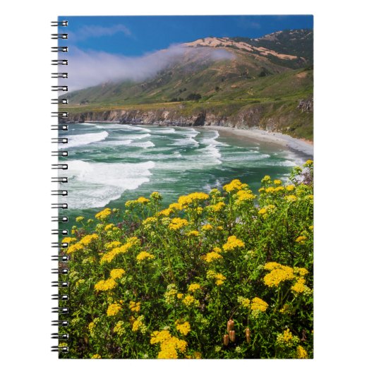 Carnet Fleurs au-dessus de la plage de Sand Dollar (Devant)