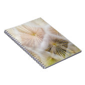 Carnet Fleurs blanches de pissenlit (Côté Droit)