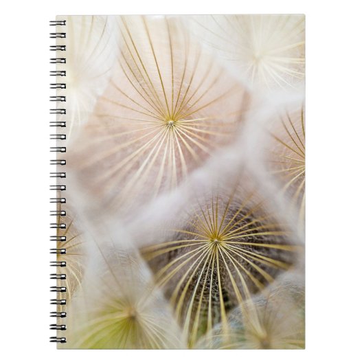 Carnet Fleurs blanches de pissenlit (Devant)