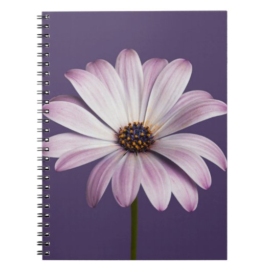 Carnet Fleurs | Blancs et marguerites (Devant)