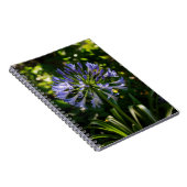 Carnet Fleurs bleu Agapanthus (Côté Droit)