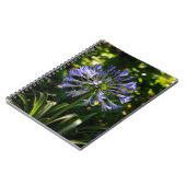 Carnet Fleurs bleu Agapanthus (Côté gauche)