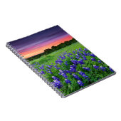 Carnet Fleurs | Bluebonnets à Sunset Texas (Côté Droit)
