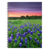 Carnet Fleurs | Bluebonnets à Sunset Texas (Devant)