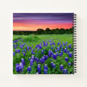Carnet Fleurs | Bluebonnets à Sunset Texas (Dos)
