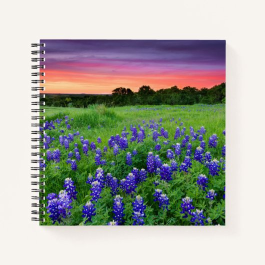 Carnet Fleurs | Bluebonnets à Sunset Texas (Devant)