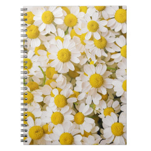 Carnet Fleurs Bunch de Chamomiles